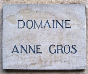 anne-g-500x418